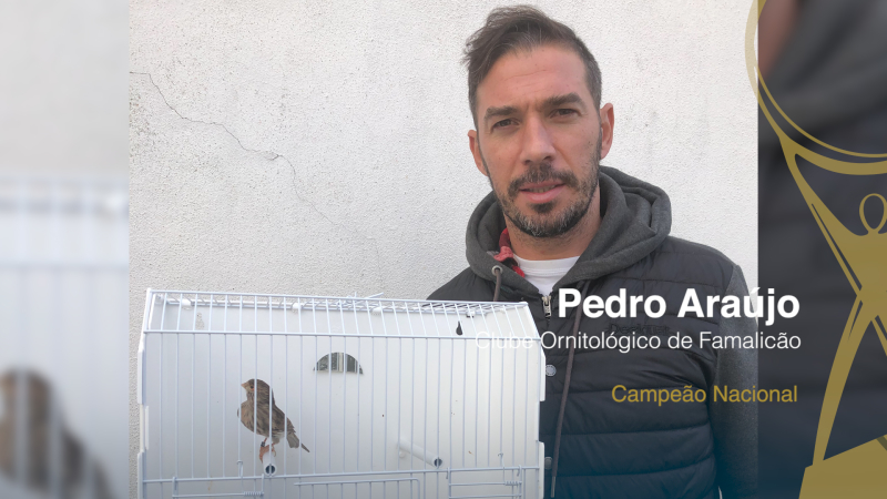 Pedro Araújo